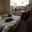 Find Flatmates -  Need a Flatmate 